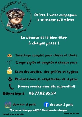 Logo douceur ô poils